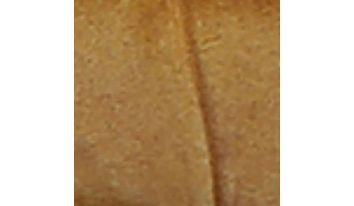 Sarto Toby D'Orsay Flat