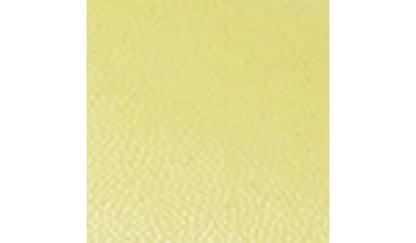 Sarto Zoe Slide Sandal